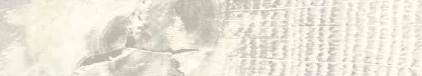 NUDOSO RUSTİK MEŞE ar