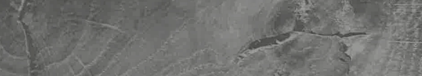 NUDOSO PASADENA ÇAMI ar