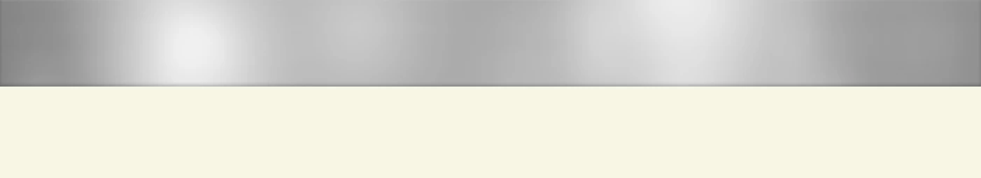 METAL AYNA 10 MM / D160 AYTAŞI 