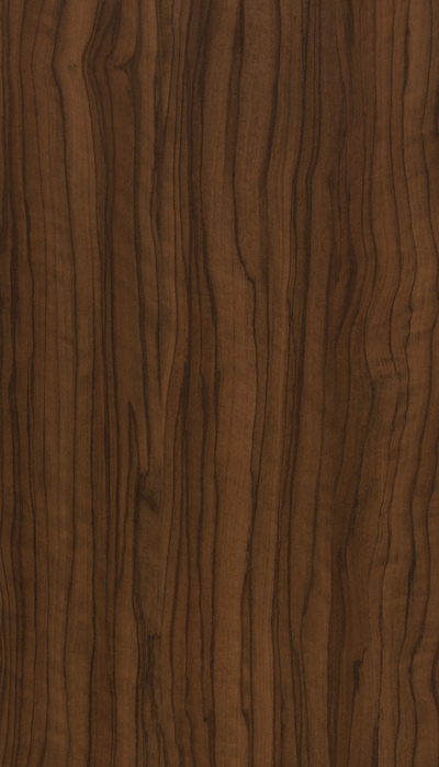A373 LATIN WALNUT