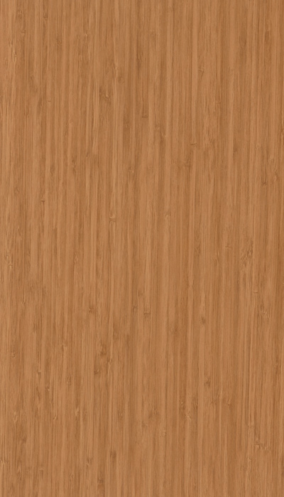 A379 BAMBOO
