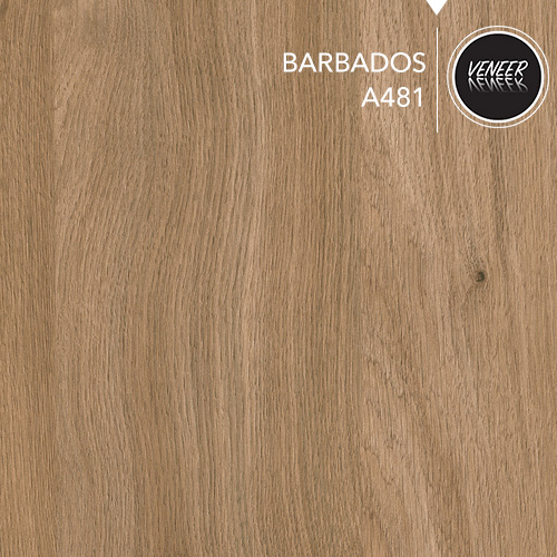 A481 بربادوس