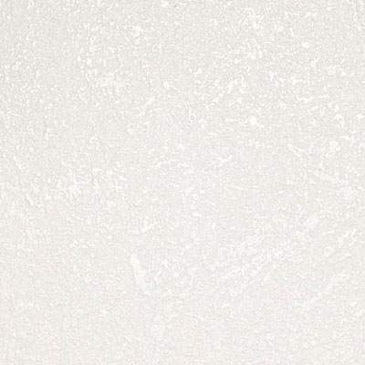 D129 LACQUER WHITE (PS53)