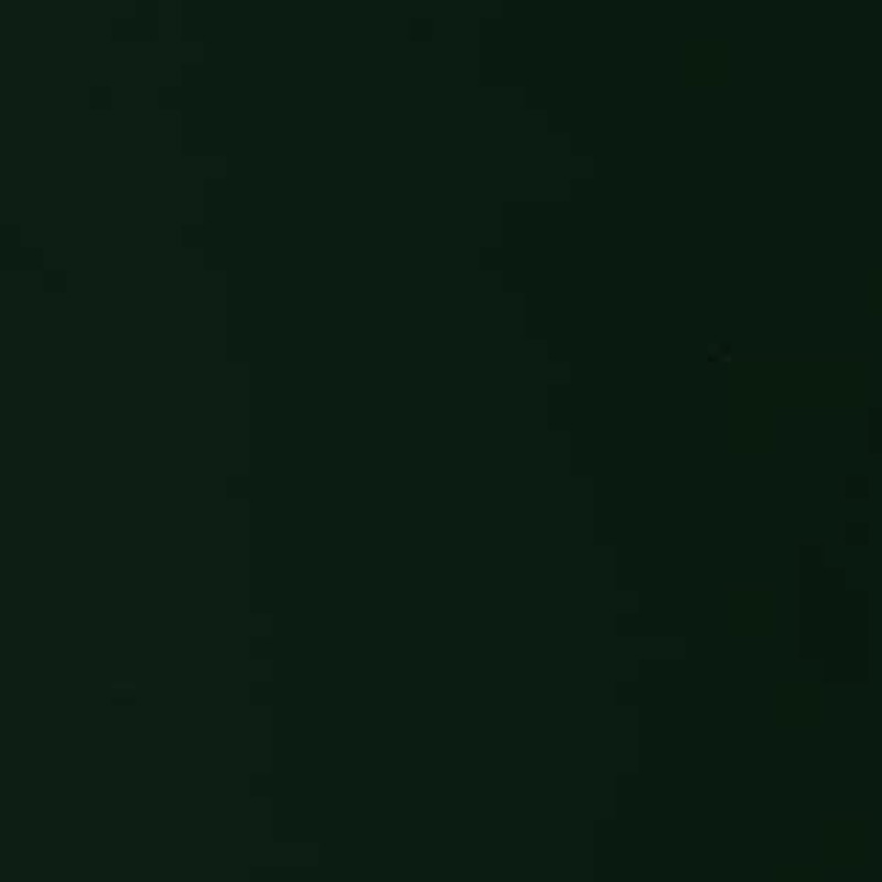 D186 أسود بيانو (مصبوغ)