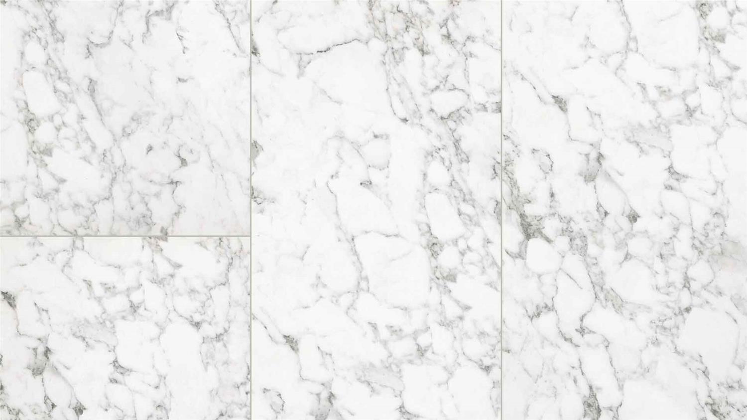 FT011 CARRARA