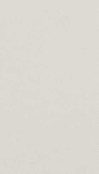 P013 ناعم غير لامع رمادي فاتح