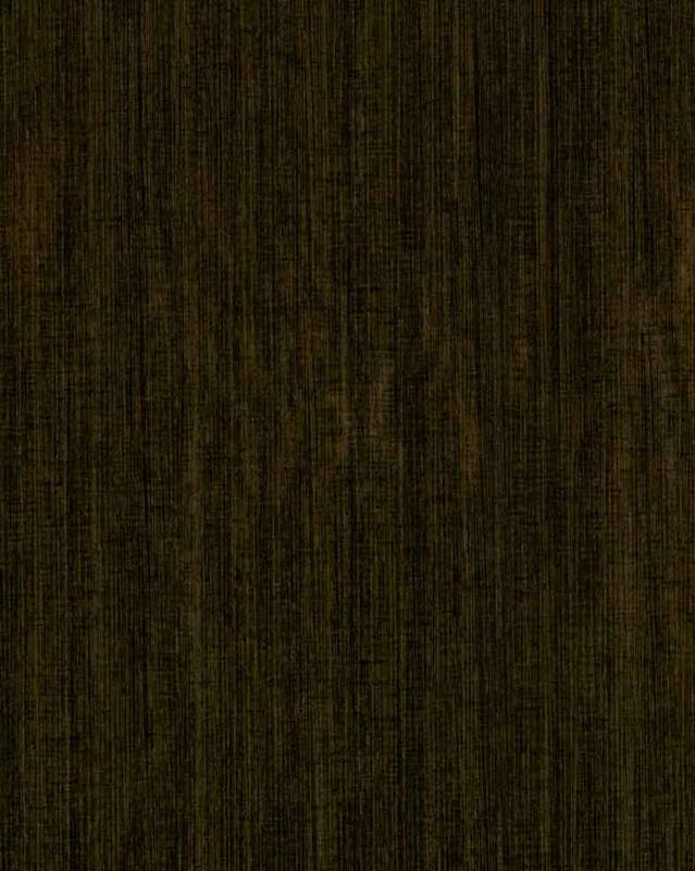 P244 تيرا ستار