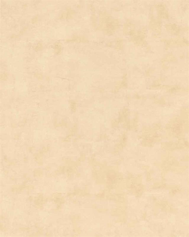 P246 تيرا لاتيه