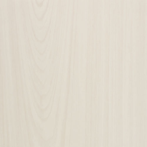 P305 القيقب الأبيض