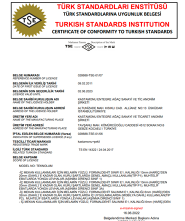 TSE Teknolam-Medelam